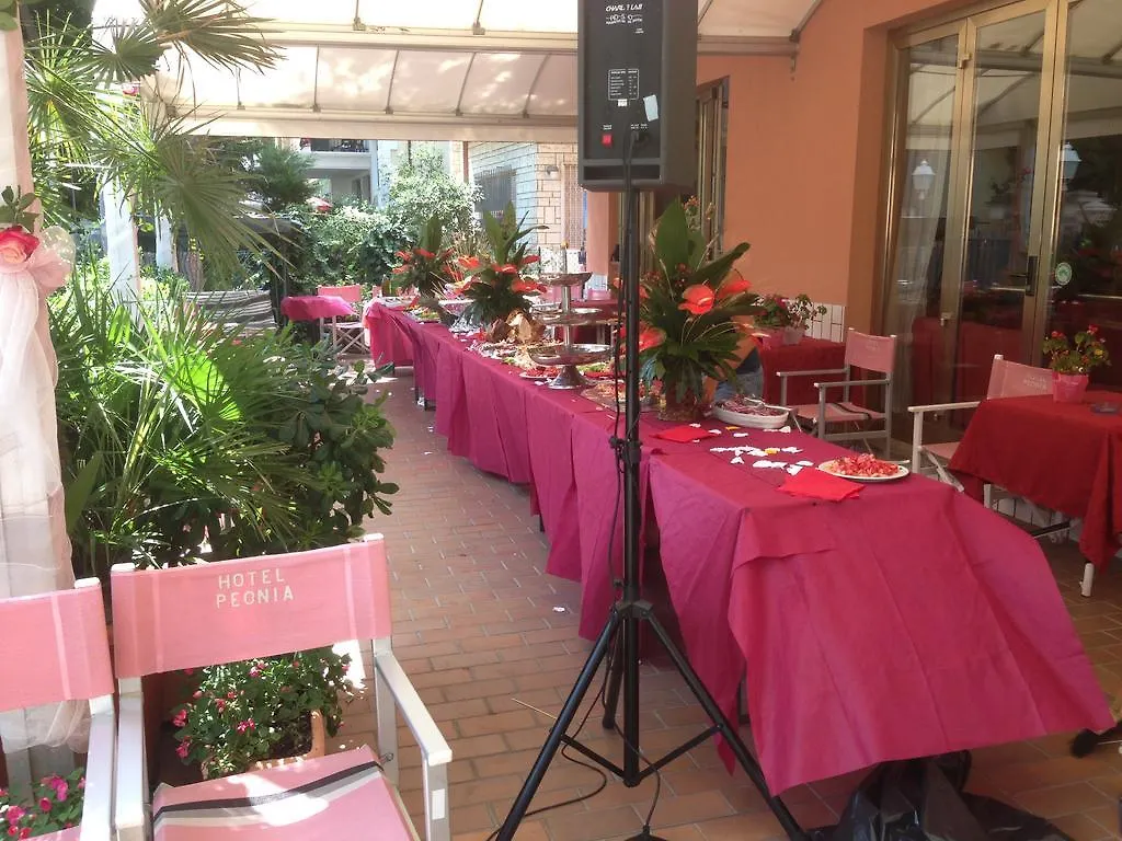 Hotel Peonia Rimini 3*,